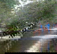 The Man From Snowy River Bush Festival - Accommodation Brunswick Heads