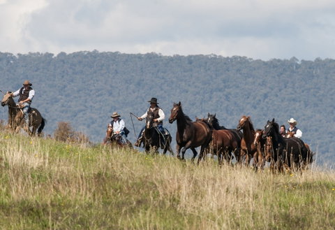 The Man From Snowy River Bush Festival - Accommodation Brunswick Heads 1