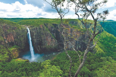 The Garden Clubs Of Australia Inc AGM And Biennial Convention 2021 - Accommodation Brunswick Heads 1