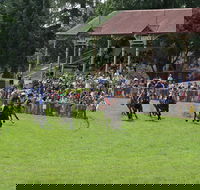 Tumut Boxing Day Races - Accommodation Brunswick Heads