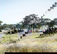 Weddin Mountain Muster - Accommodation Brunswick Heads