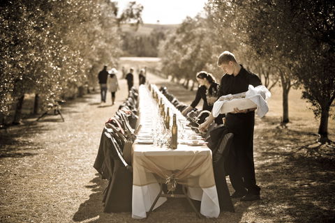 Whispering Brook Olive Long Table Luncheon - Accommodation Brunswick Heads 1