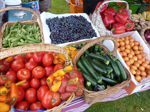 Armidale Farmers' Market - Accommodation Brunswick Heads 1