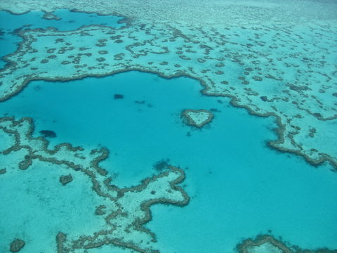 Australian Superyacht Rendezvous 2020 - Great Barrier Reef Edition - Accommodation Brunswick Heads 2