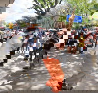 Australian National Busking Championships - Accommodation Brunswick Heads