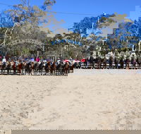 Australian Campdraft Association National Finals Campdraft 2021 - Accommodation Brunswick Heads
