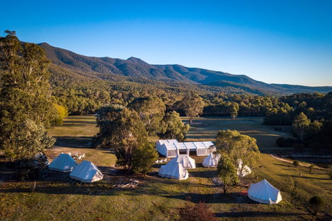 A Wild Night Out - Spring - Accommodation Brunswick Heads 5