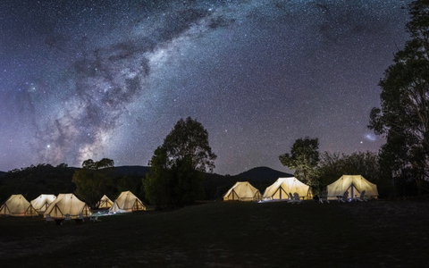 A Wild Night Out - Spring - Accommodation Brunswick Heads 6