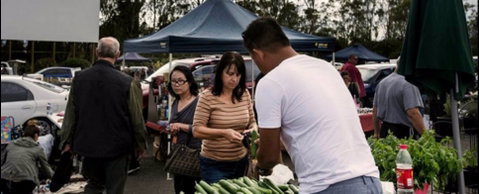 Blacktown Markets - Accommodation Brunswick Heads 0