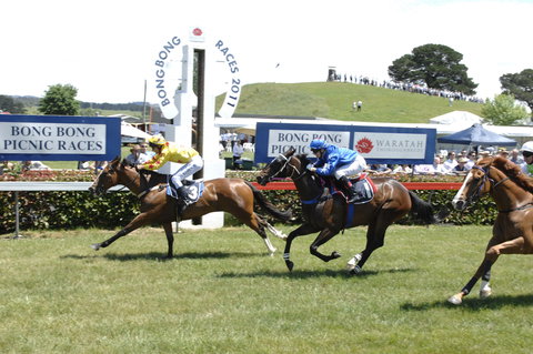 Bong Bong Picnic Races - Accommodation Brunswick Heads 0