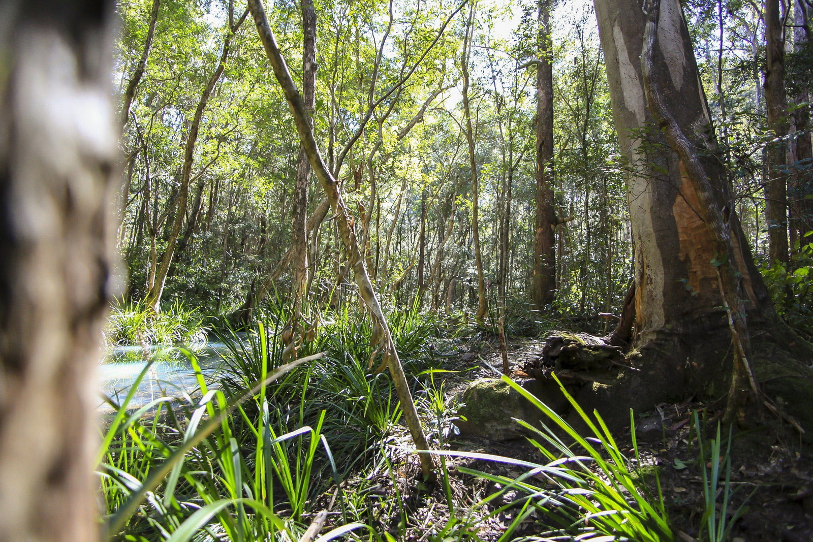 Herons Creek NSW Accommodation Brunswick Heads
