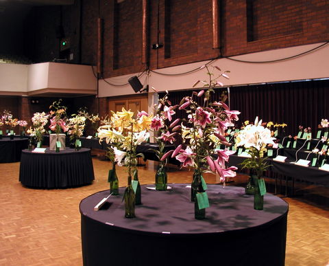 Burnie Lilium Show - Accommodation Brunswick Heads 0