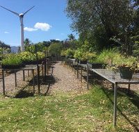 Conservation Volunteers Australia Townsville - Ocean View Nursery - Accommodation Brunswick Heads