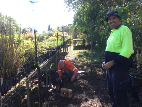 Conservation Volunteers Australia Townsville - Ocean View Nursery - Accommodation Brunswick Heads 1