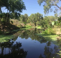 Conservation Volunteers Australia Townsville - Creekwatch - Accommodation Brunswick Heads