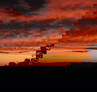 Cottontail Wines Christmas Day Lunch - Accommodation Brunswick Heads