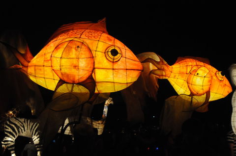 DREAM Festival: Music And Markets Event - Accommodation Brunswick Heads 2
