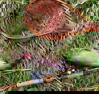 Guyra TroutFest - Accommodation Brunswick Heads
