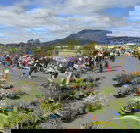 Hobart Showground Sunday Market - Weekly - Accommodation Brunswick Heads