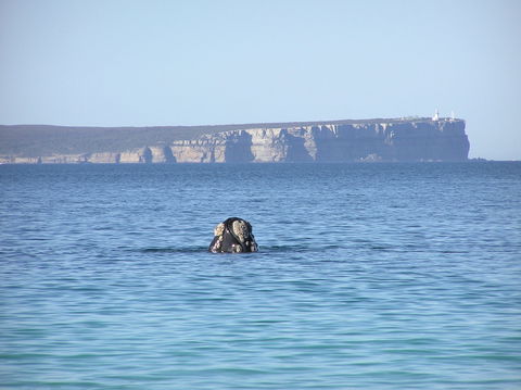 Jervis Bay's Sydney To Hobart Experience - Accommodation Brunswick Heads 0