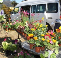 Johns River Country Markets - Accommodation Brunswick Heads