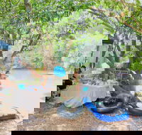 Jungle Love Festival - Accommodation Brunswick Heads