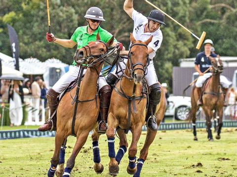 Land Rover Polo In The City - Accommodation Brunswick Heads 0