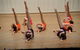 Leeton Eisteddfod - thumb 1