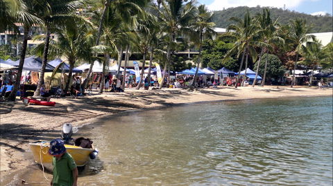 Lions Airlie Beach Community Markets - Accommodation Brunswick Heads 0