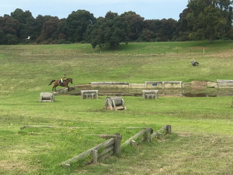 Mount Gambier And District Pony Club Horse Trials 2020 - Accommodation Brunswick Heads 0