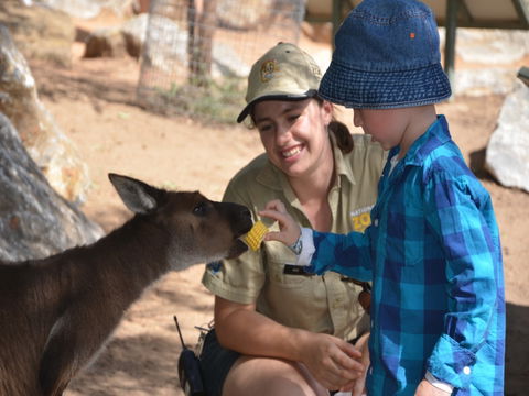Mums And Cubs! And Dads Too! - Accommodation Brunswick Heads 0