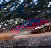 Narooma Forest Rally - Accommodation Brunswick Heads