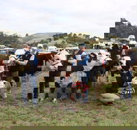 Noorat Show - Accommodation Brunswick Heads