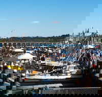 Ocean Harvest Festival - Accommodation Brunswick Heads