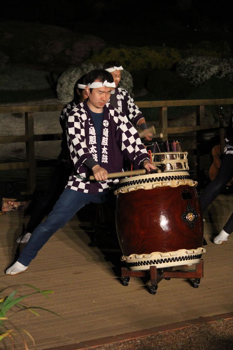 Sakura Matsuri  - Cherry Blossom Festival - In Doubt Due To Covid-19 - Accommodation Brunswick Heads 1