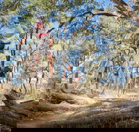 Shimano Mountain Bike Grand Prix  Logan - Accommodation Brunswick Heads
