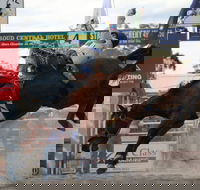 Stroud Rodeo and Campdraft - Accommodation Brunswick Heads