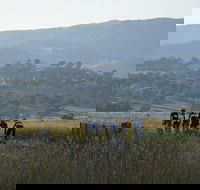 Tumut Cycle Classic - Accommodation Brunswick Heads