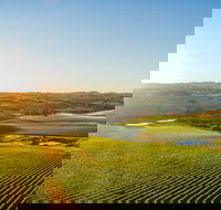 Wine and Food at Altitude - Accommodation Brunswick Heads