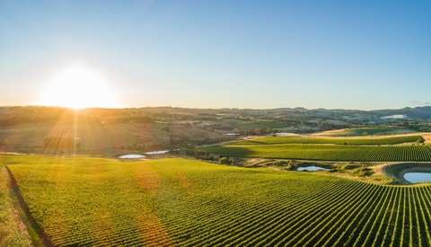 Wine And Food At Altitude - Accommodation Brunswick Heads 0