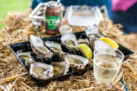 Narooma Oyster Festival - Accommodation Brunswick Heads 1