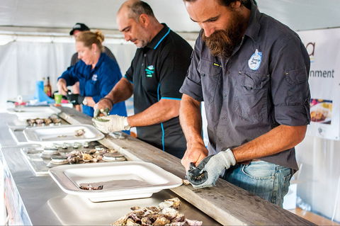 Narooma Oyster Festival - Accommodation Brunswick Heads 2