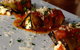 Puntino Trattoria - thumb 5