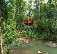The Canopy Rainforest Treehouses and Wildlife Sanctuary - Accommodation Brunswick Heads