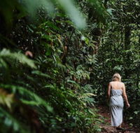 Daintree Ecolodge - Accommodation Brunswick Heads