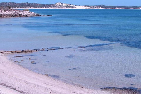 Southern Blue Apartments - Accommodation Brunswick Heads 6