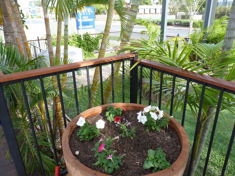 Caboolture Central Motor Inn, SureStay Collection By BW - Accommodation Brunswick Heads 6