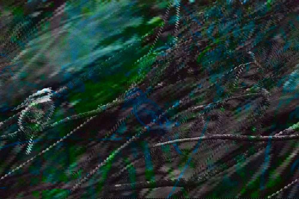  Accommodation Brunswick Heads