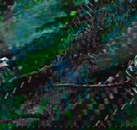 Broken River Mountain Resort - Accommodation Brunswick Heads