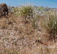 Schouten House - Accommodation Brunswick Heads